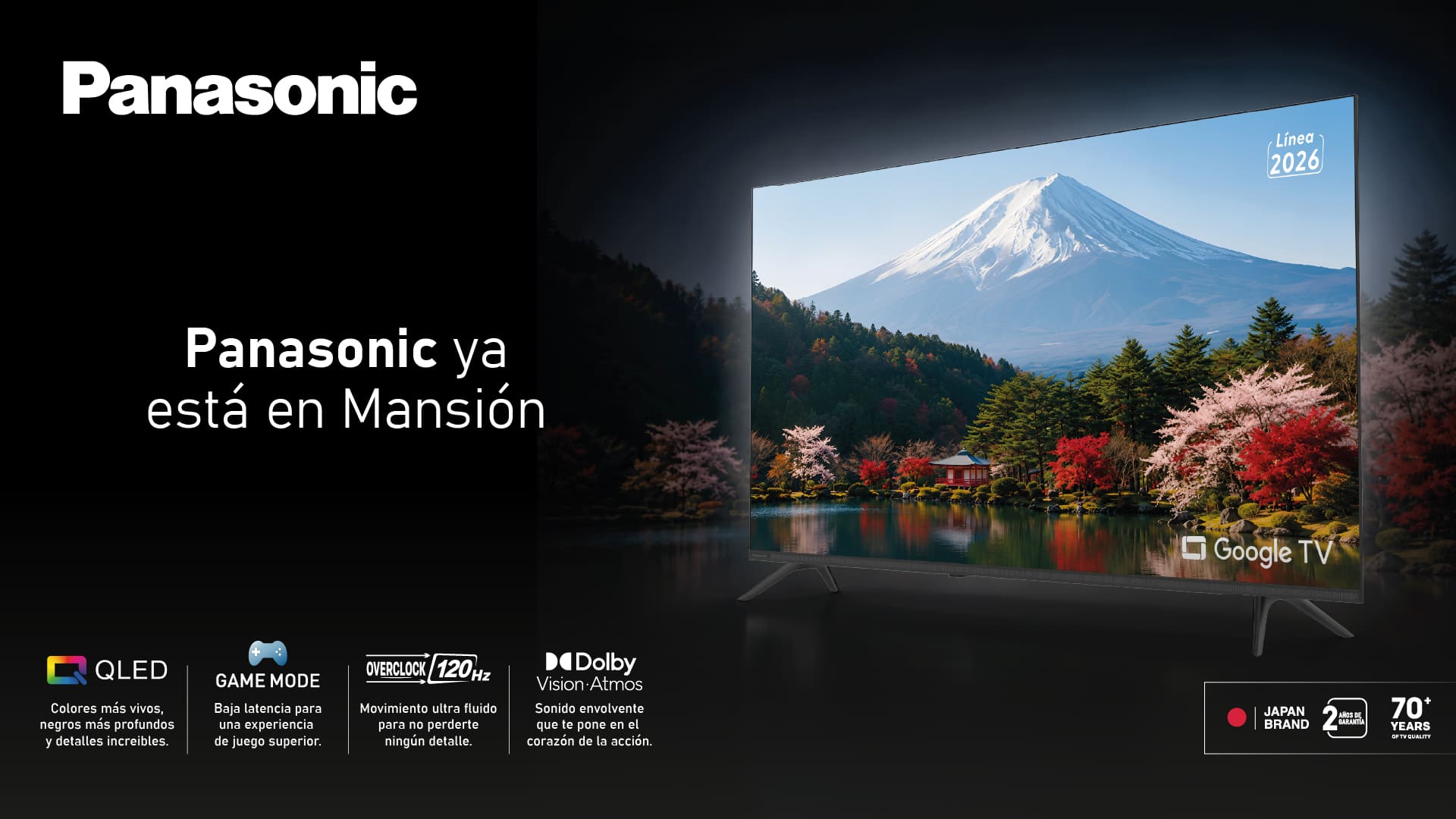 Panasonic